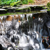Buy canvas prints of the waterfall by sue davies