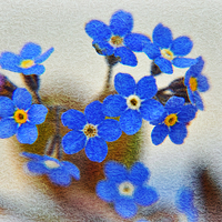 Buy canvas prints of flora blue by sue davies