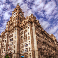 Buy canvas prints of liver building by sue davies