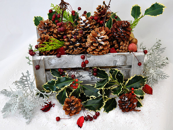  festive pickings from the garden Picture Board by sue davies