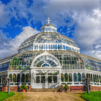 Buy canvas prints of  the palm house by sue davies