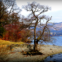 Buy canvas prints of  beautiful lakes by sue davies