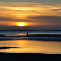 Buy canvas prints of  golden reflections by sue davies