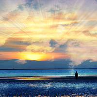 Buy canvas prints of  rays by sue davies