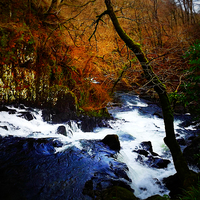 Buy canvas prints of  swallow falls by sue davies