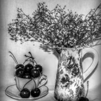 Buy canvas prints of  a cup of cherries by sue davies