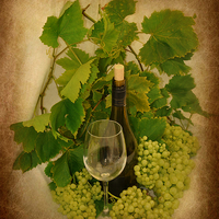 Buy canvas prints of  wine by sue davies
