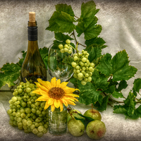 Buy canvas prints of  vino and flowers x by sue davies