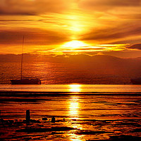 Buy canvas prints of golden sunset by sue davies