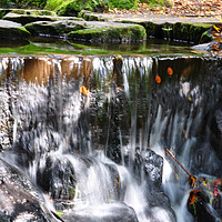 Buy canvas prints of tiny waterfall by sue davies