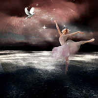 Buy canvas prints of fantasy ballet by sue davies