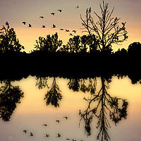 Buy canvas prints of reflections by sue davies