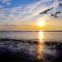 Buy canvas prints of seaside by sue davies