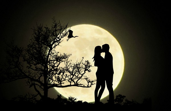moonlight kiss Picture Board by sue davies