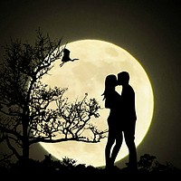 Buy canvas prints of moonlight kiss by sue davies