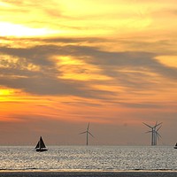 Buy canvas prints of out to sea by sue davies