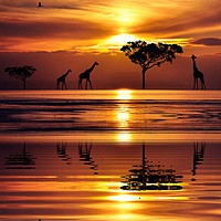 Buy canvas prints of reflections in the sunset by sue davies