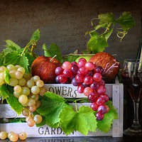 Buy canvas prints of wine and fruit by sue davies