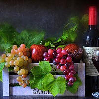Buy canvas prints of fruit and wine by sue davies