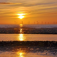 Buy canvas prints of silhouettes in the sunset by sue davies