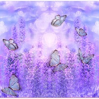 Buy canvas prints of butterflies and flowers by sue davies