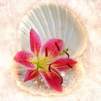 Buy canvas prints of diamonds flowers and pearls by sue davies