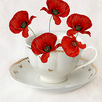 Buy canvas prints of cup of poppy's by sue davies