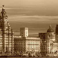 Buy canvas prints of The three graces by sue davies