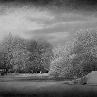 Buy canvas prints of snow scene at walton hall park  by sue davies