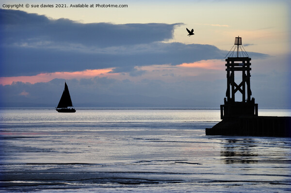 silhouettes in the sea Picture Board by sue davies