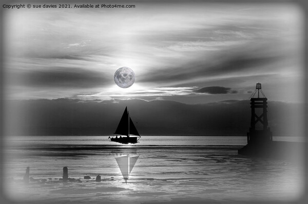 sailing through the moonlight Picture Board by sue davies