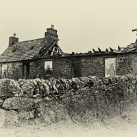Buy canvas prints of Ruined Farmhouse Sketch Warm by Stephen Maher