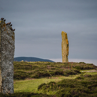 Buy canvas prints of  Birds on Orkney Standing Stone by Stephen Maher