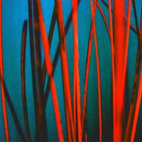 Buy canvas prints of Red Wicker - Abstract by james richmond
