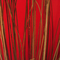 Buy canvas prints of Cane on Red by james richmond