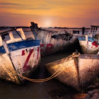 Buy canvas prints of Resting Place by Tony Bramham