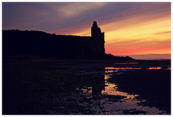 Greenan castle Ayr Picture Board by jane dickie