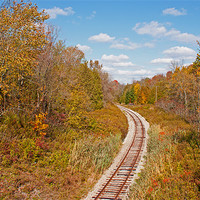Buy canvas prints of Autumn railroad by jane dickie