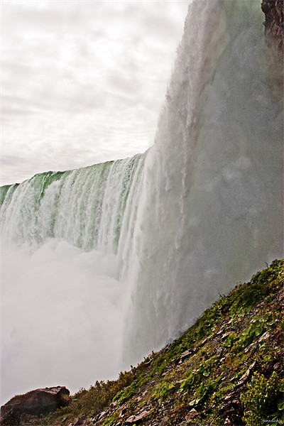 another view of Niagara Picture Board by jane dickie