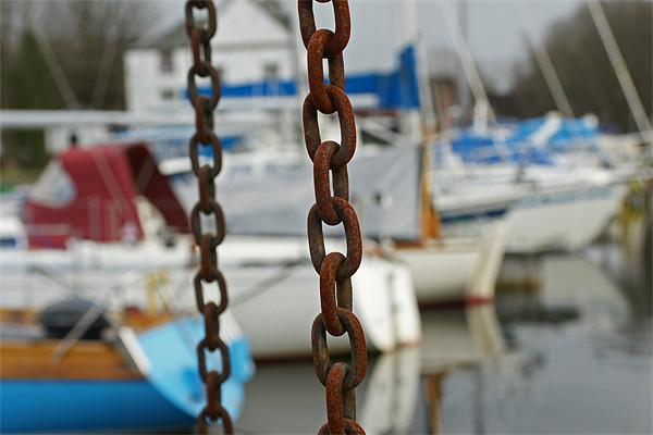 chains and boats Picture Board by jane dickie