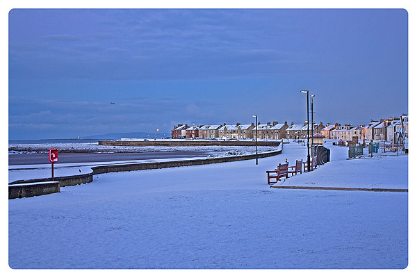 early morning on the prom Picture Board by jane dickie