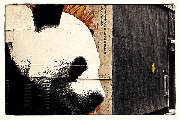 The Glasgow panda Picture Board by jane dickie
