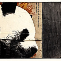 Buy canvas prints of The Glasgow panda by jane dickie