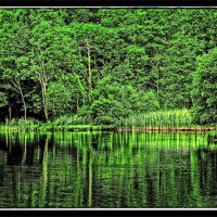 Buy canvas prints of green lake reflection by jane dickie