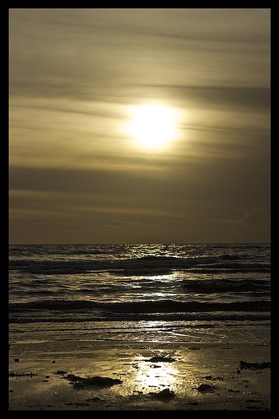 sunset on sand Picture Board by jane dickie