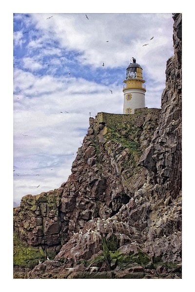 Lighthouse on Bass rock Picture Board by jane dickie