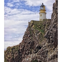 Buy canvas prints of Lighthouse on Bass rock by jane dickie