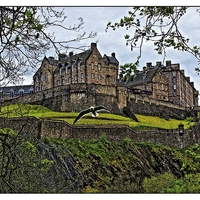 Buy canvas prints of Edinburgh castle by jane dickie