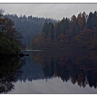 Buy canvas prints of  misty reflections by jane dickie
