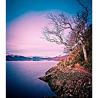 Buy canvas prints of winter on the loch by jane dickie